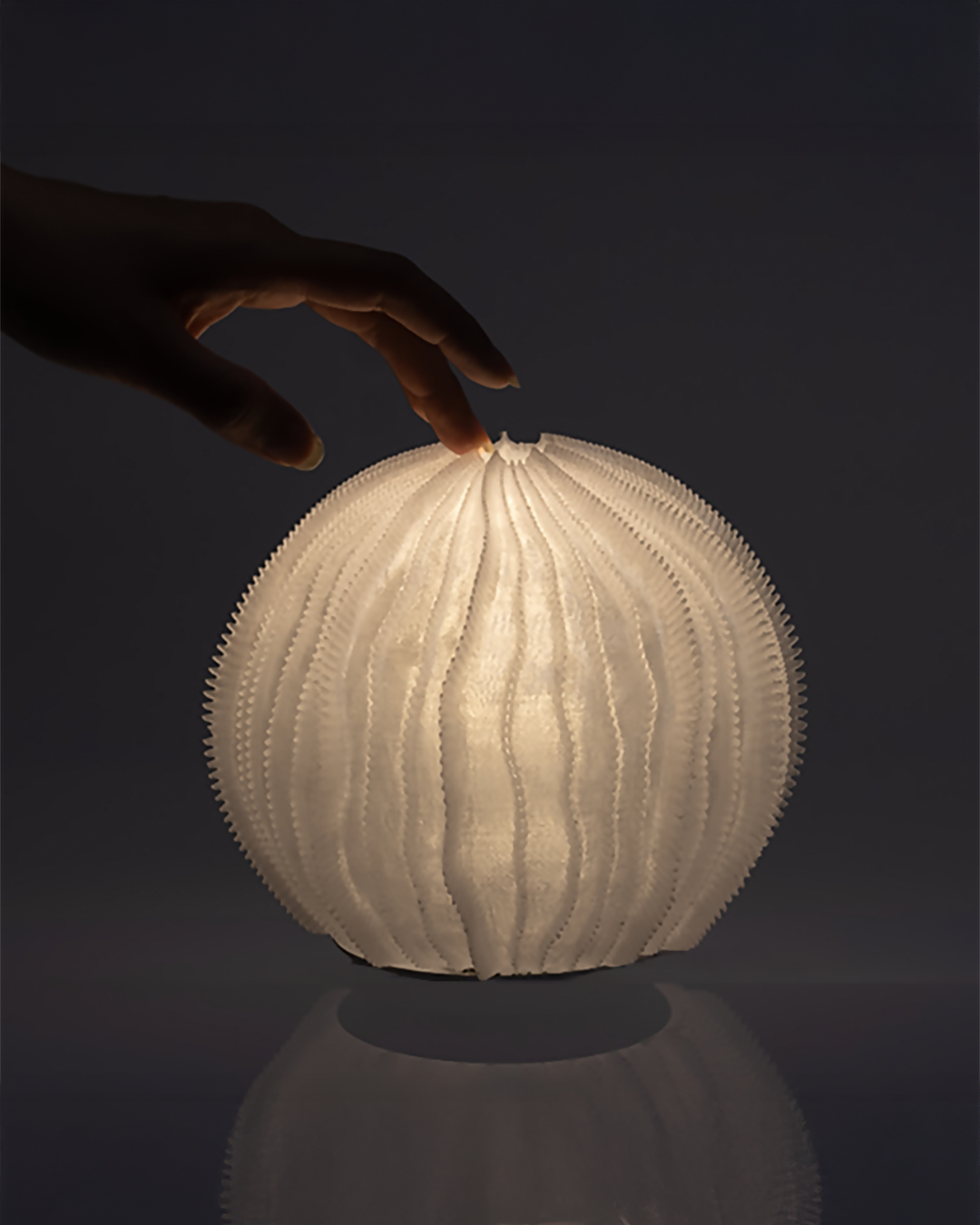 Urchin Lamp