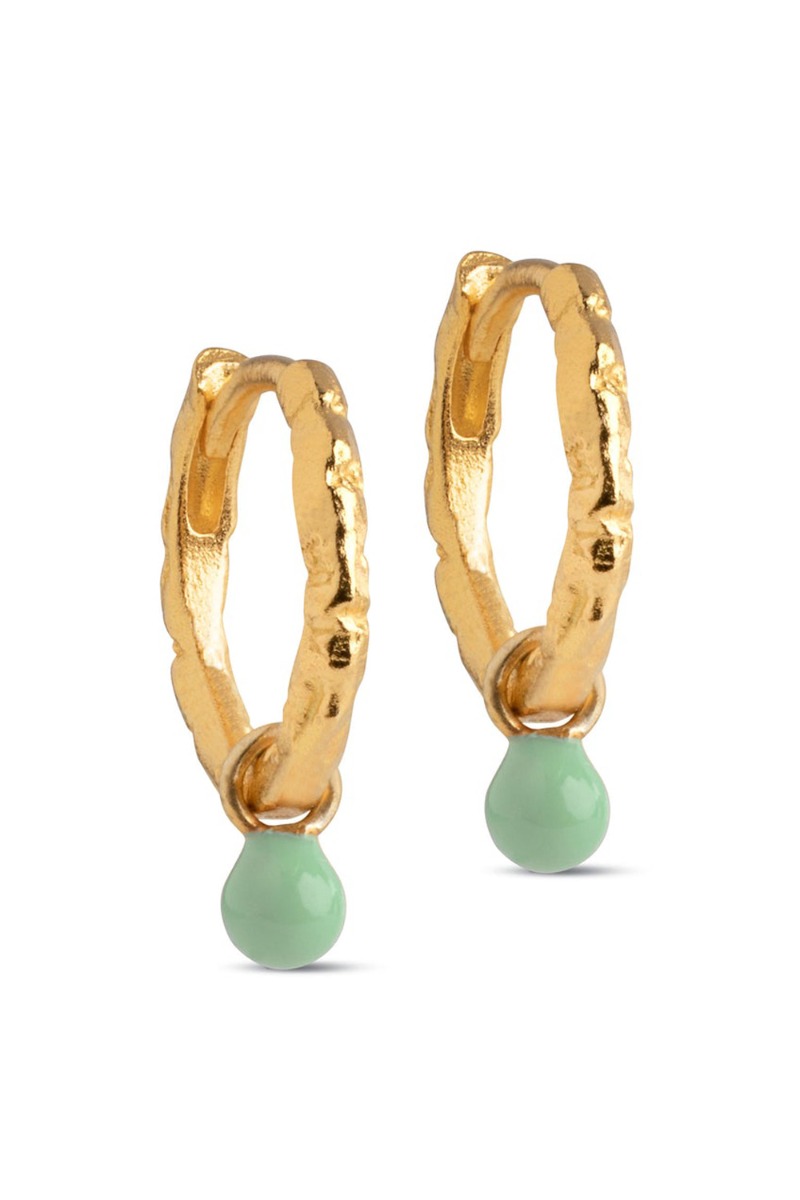 Enamel øreringe Copenhagen Hoops Belle Dusty Green