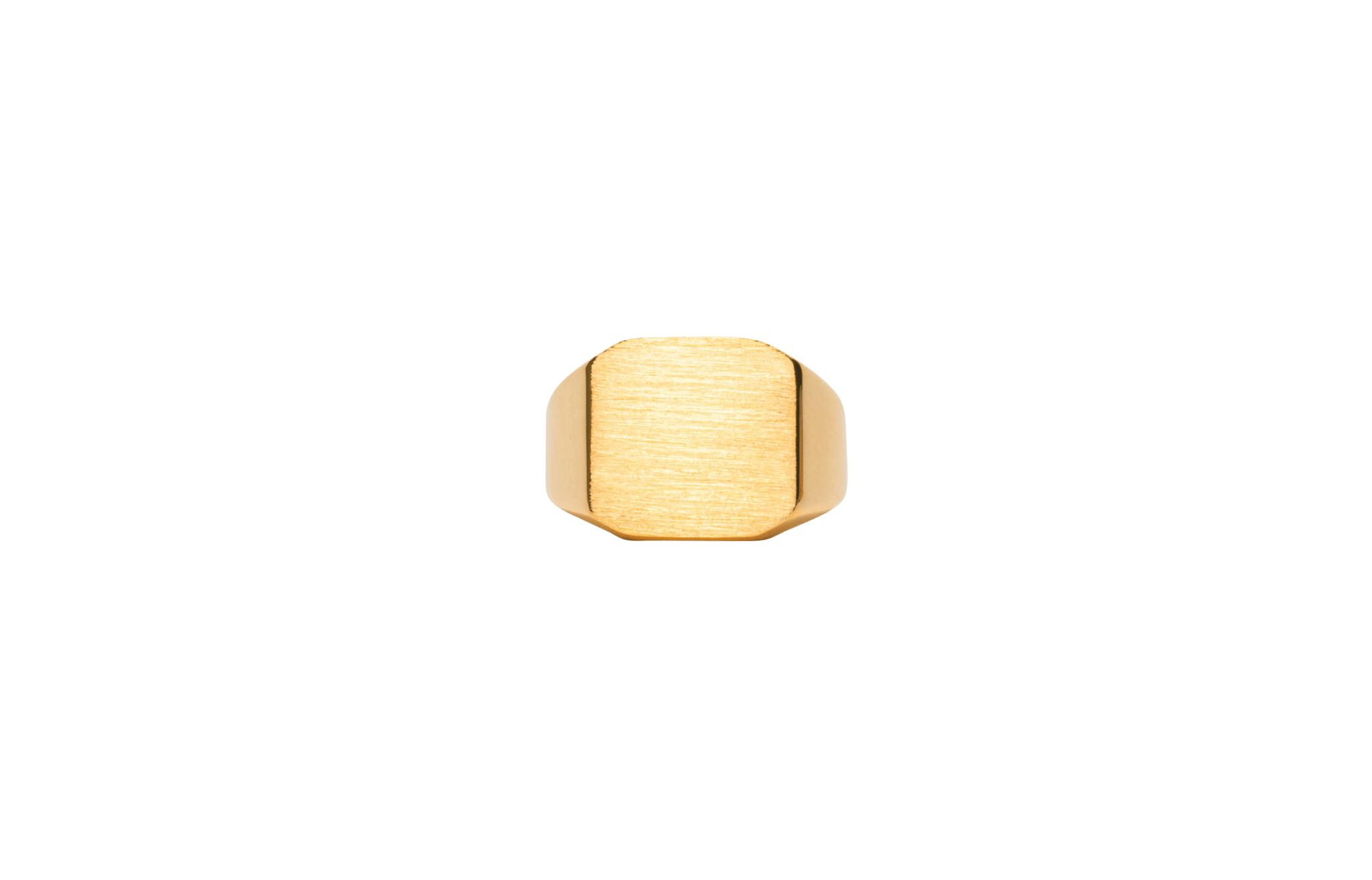 Ix Octagon Signet Ring