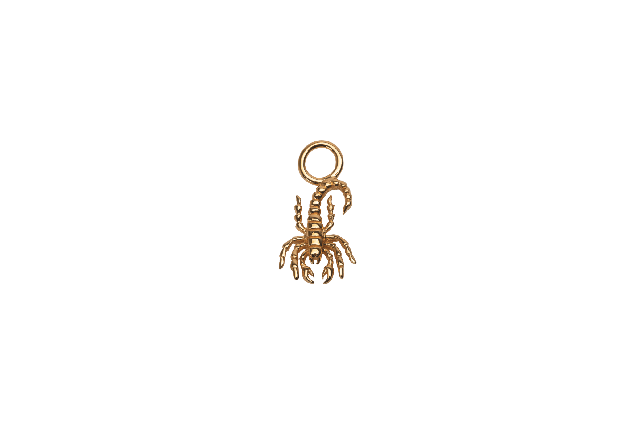 Ix Scorpion Charm