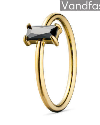 Annebrauner Deluxe Petite Black Ring 18k Guldbelagt 48