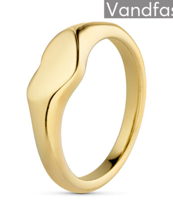 Annebrauner Palermo Ring 18k Guldbelagt 51