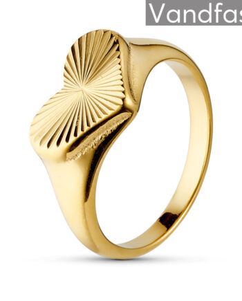 Annebrauner Sun Heart Ring 18k Guldbelagt 50