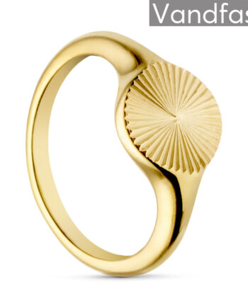 Annebrauner Sun Ring 18k Guldbelagt 50
