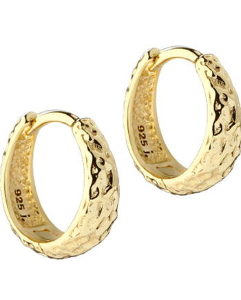 Cappa Hoop 12 Mm    Golden