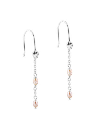 Costa Snail Earhook   Silver