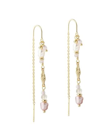 Fresa Rose Earthread   Golden