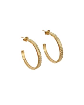 Isabel Hoop   Golden