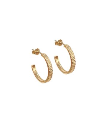 Isabel Hoop   Golden