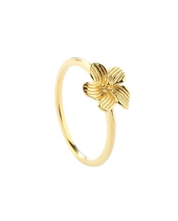 Jasmin Ring 50   Golden