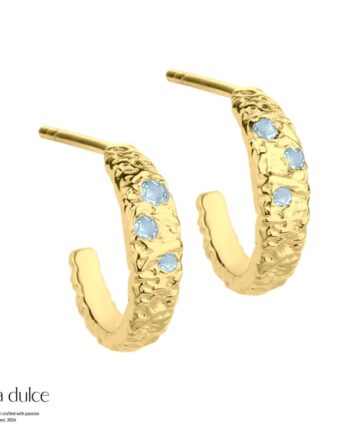 Mess Hoop Blue Small   Golden