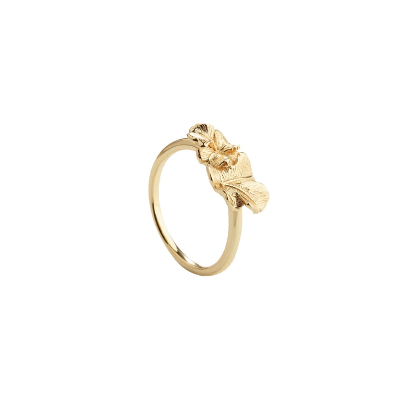Folio Ring 56   Golden